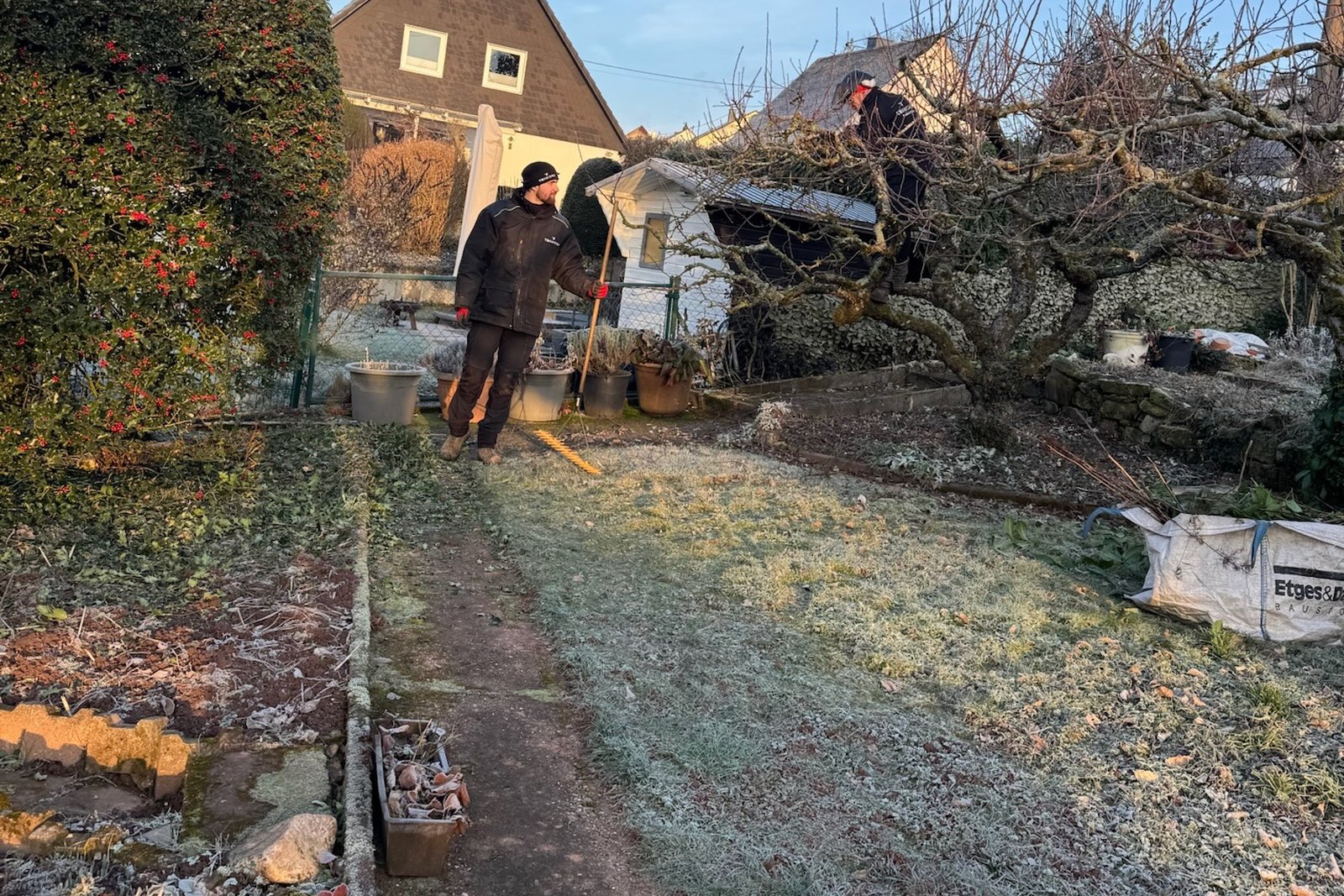 TriWork bei Baumfällung und Räumarbeiten in Trier und Umgebung