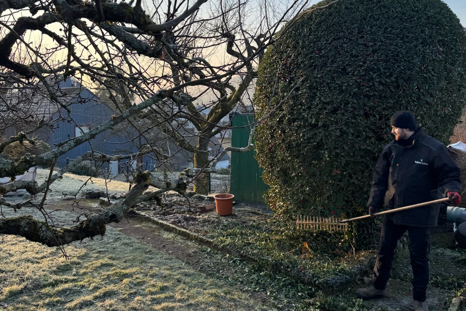 TriWork Mitarbeiter beim fachgerechten Gehölzschnitt in einem Privatgarten
