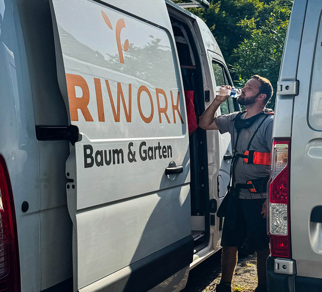 Triwork 9
